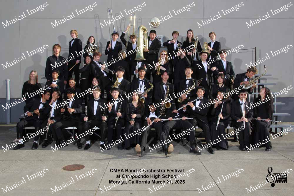 Musical Images